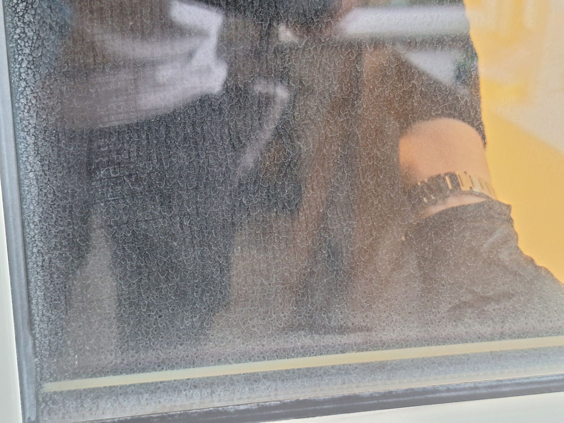 Professionelle Reinigung Dornbirn